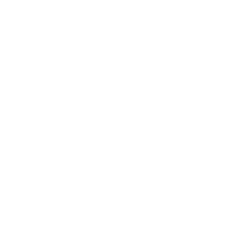 Z-Rank Logo